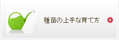 種苗の上手な育て方