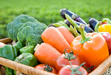 品質へのこだわり