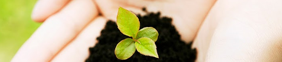 品質へのこだわり