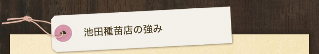 池田種苗店の強み