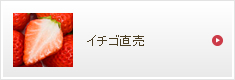 イチゴ直売